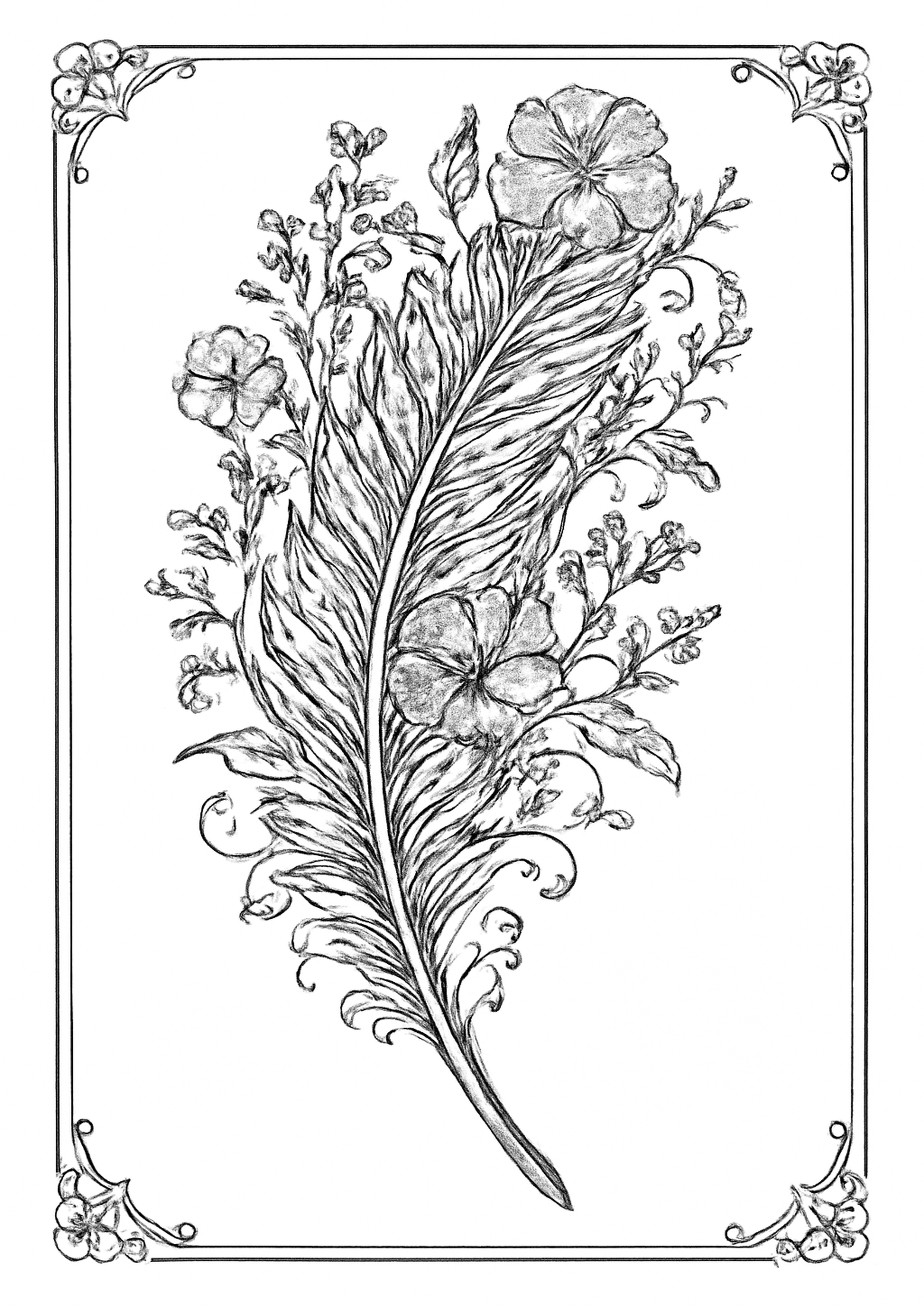 Coloriage plume botanique affirmation a imprimer, dessin au trait simple pour enfants