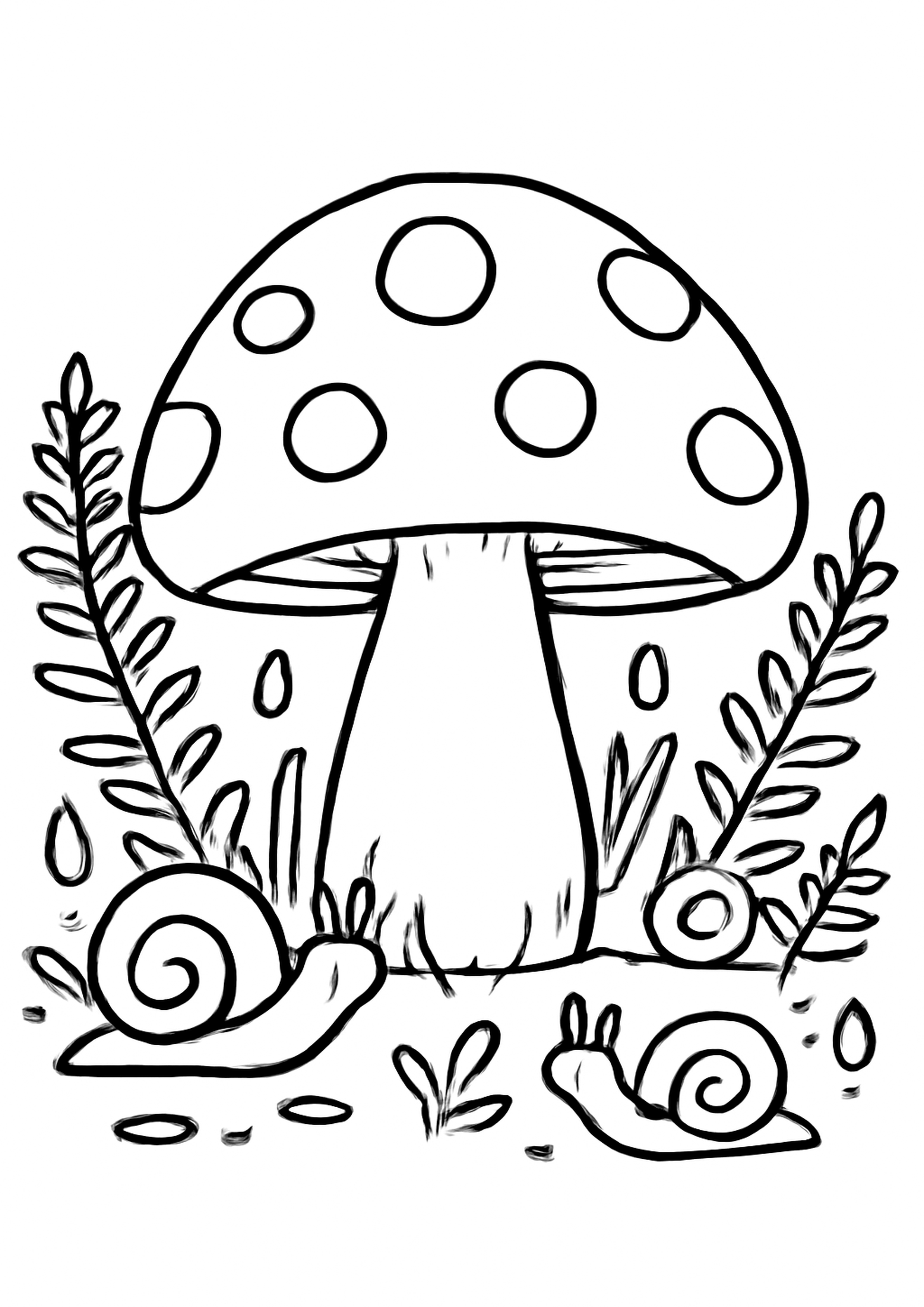 Coloriage amanite mouchetee a imprimer, dessin au trait simple pour enfants