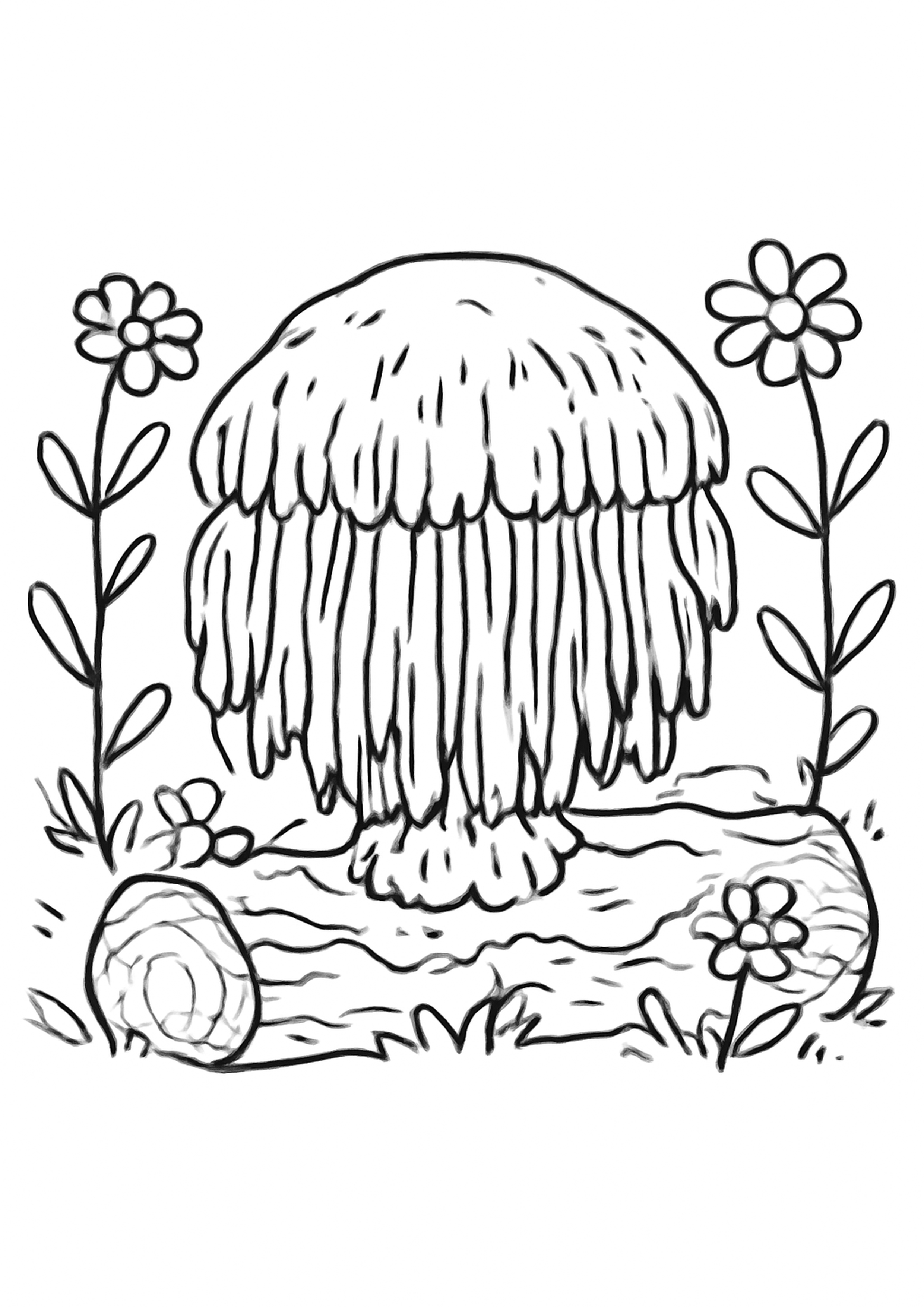 Coloriage champignon criniere de lion a imprimer, dessin au trait simple pour enfants
