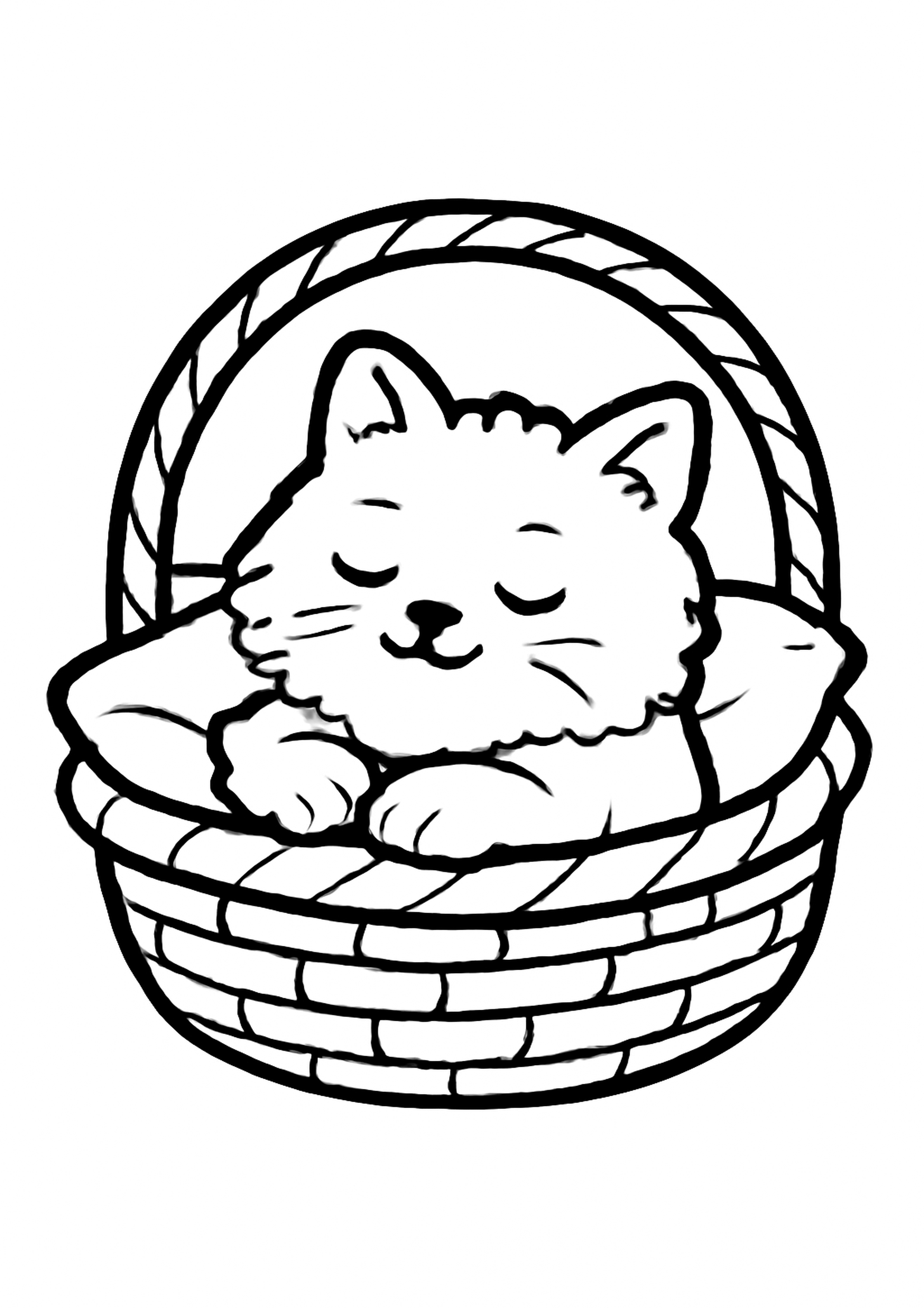 Coloriage chat dans un panier a imprimer, dessin au trait simple pour enfants