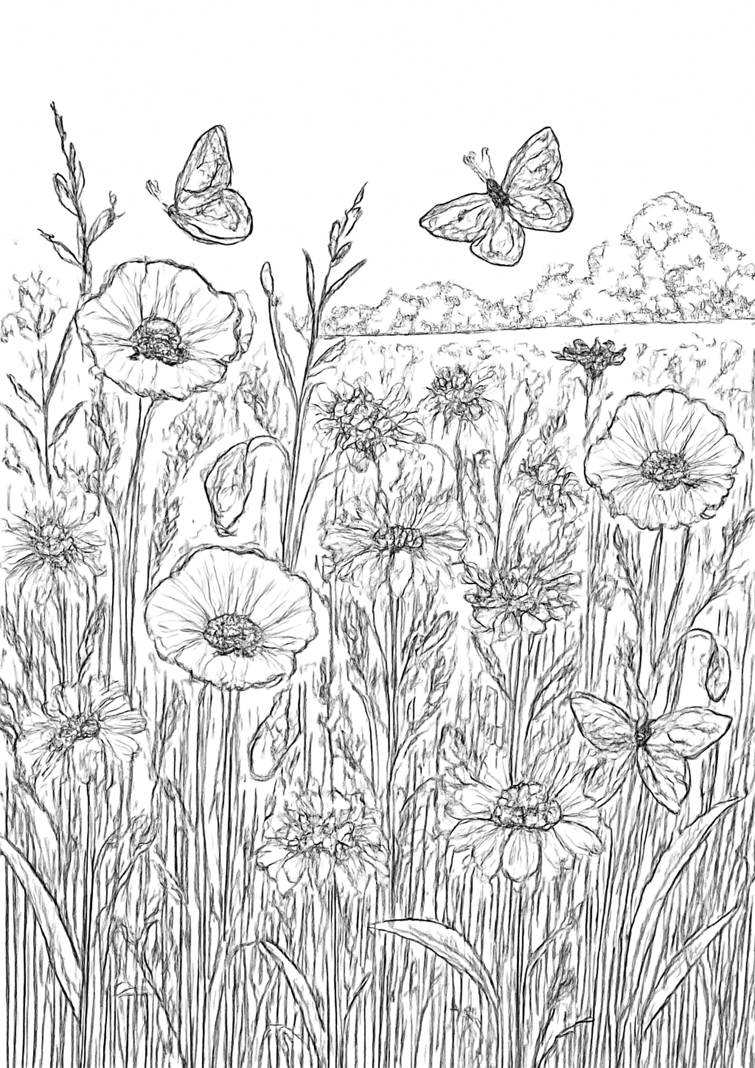 Coloriage prairie de fleurs sauvages a imprimer, dessin au trait simple pour enfants