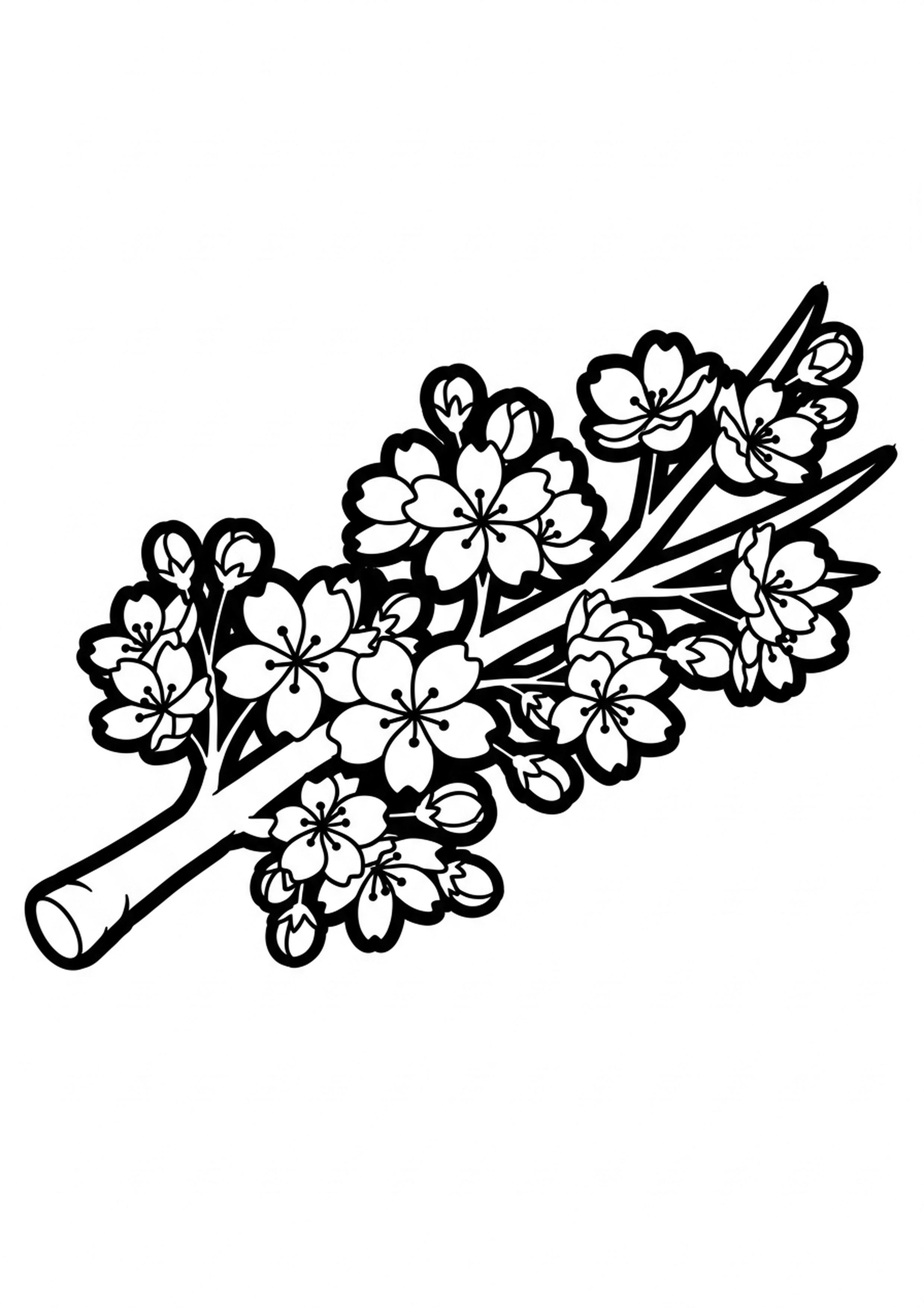 Coloriage fleurs de cerisier a imprimer, dessin au trait simple pour enfants