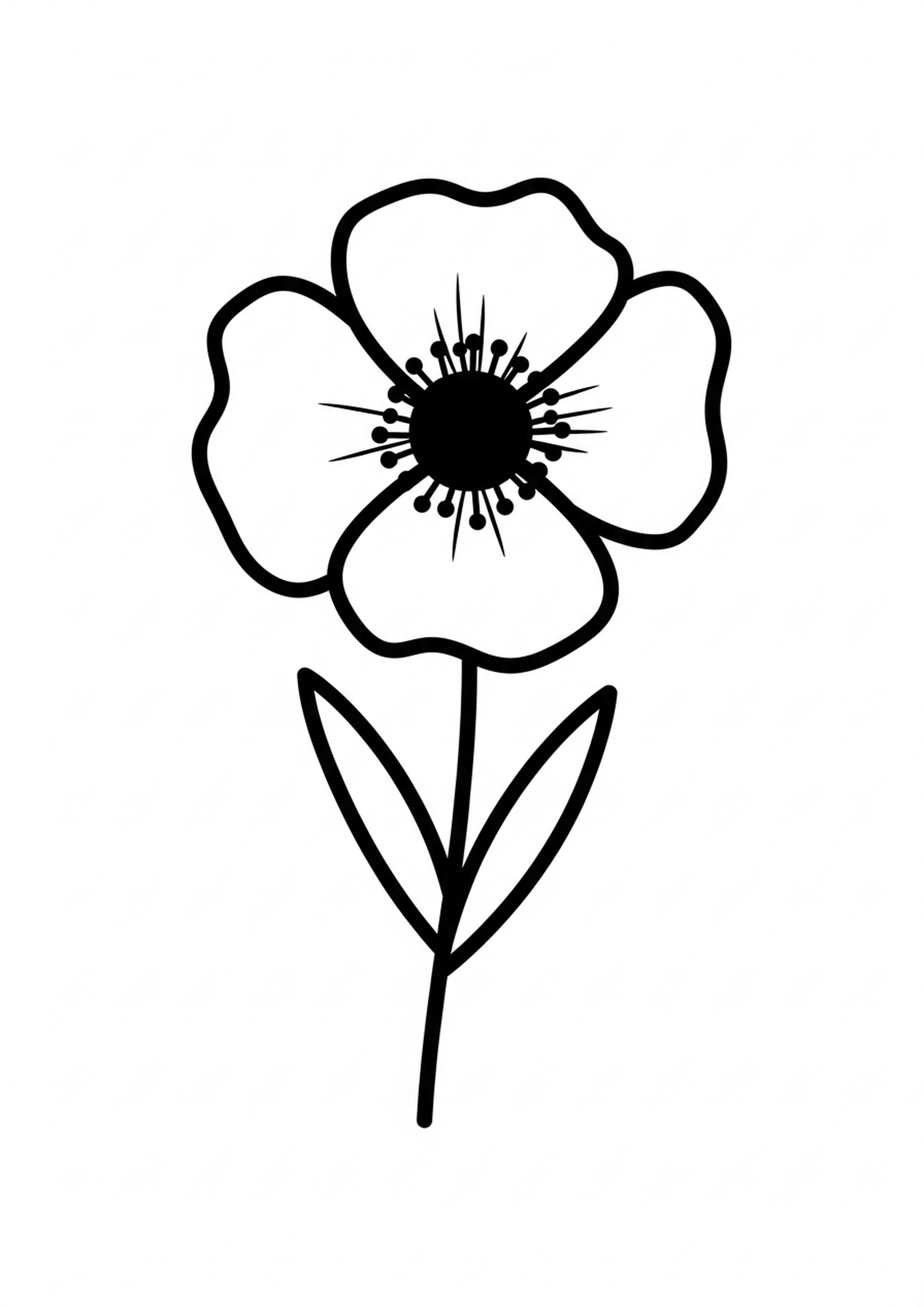 Coloriage coquelicot des champs a imprimer, dessin au trait simple pour enfants