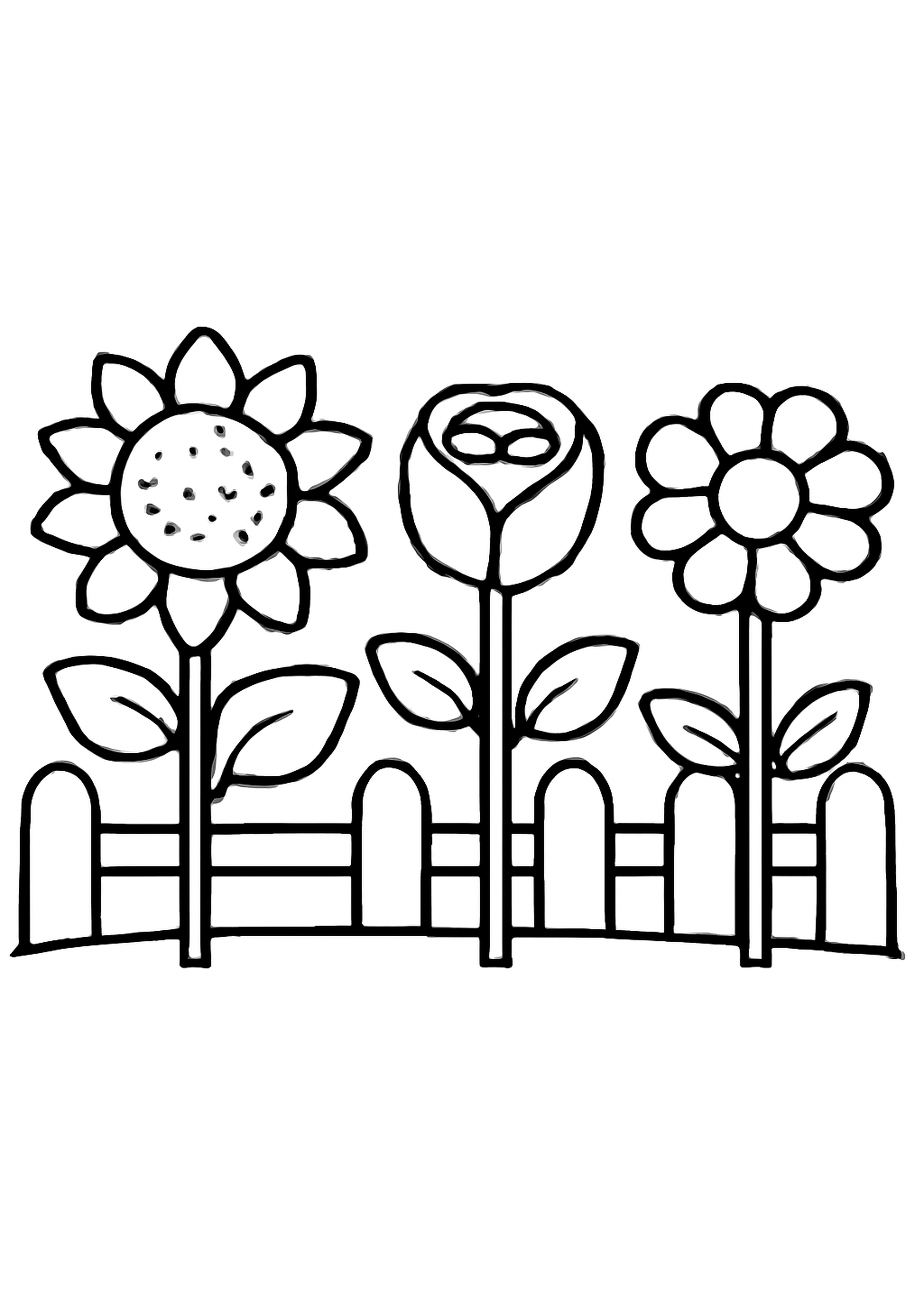 Coloriage jardin de fleurs a imprimer, dessin au trait simple pour enfants