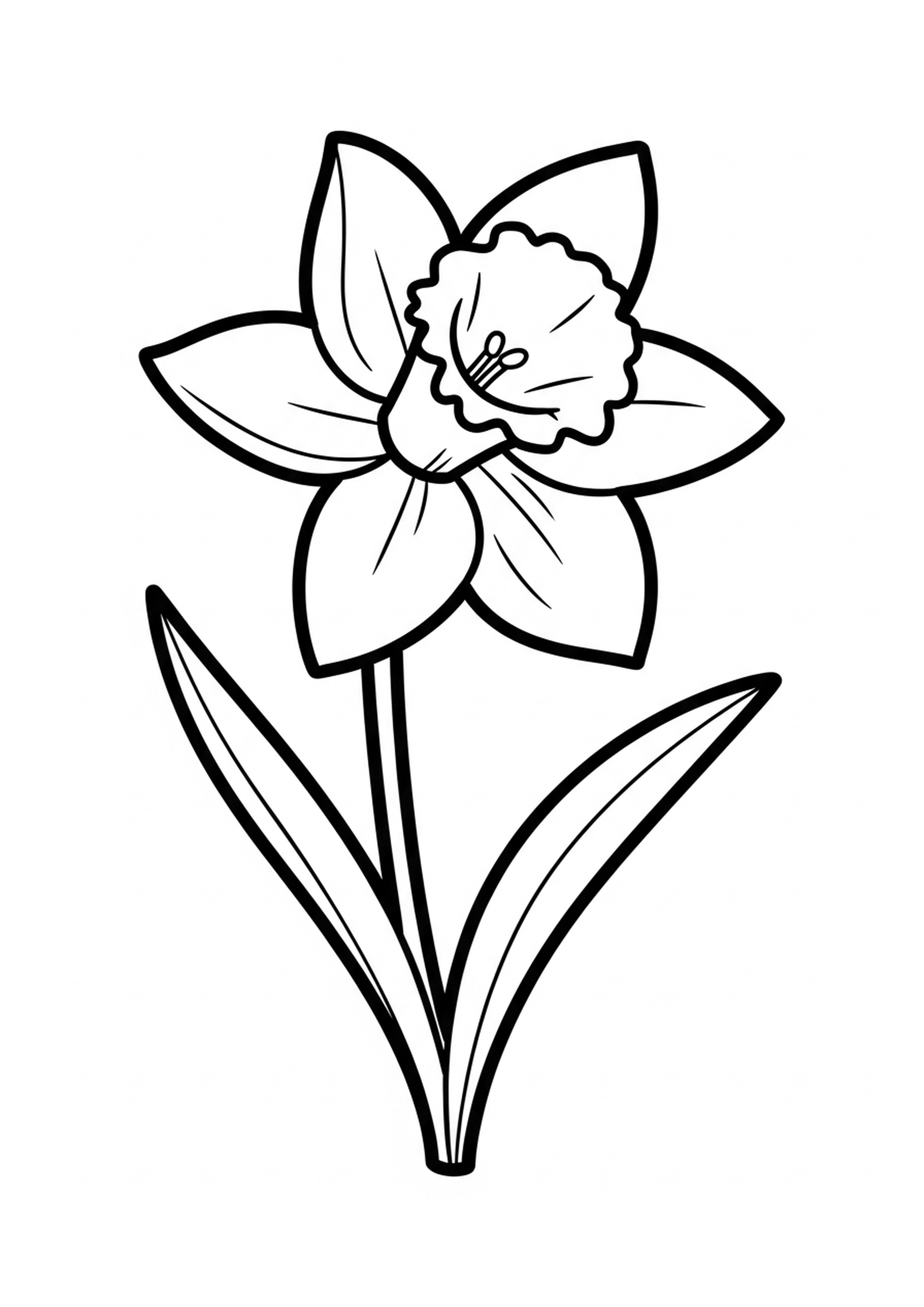 Coloriage jonquille gaie a imprimer, dessin au trait simple pour enfants