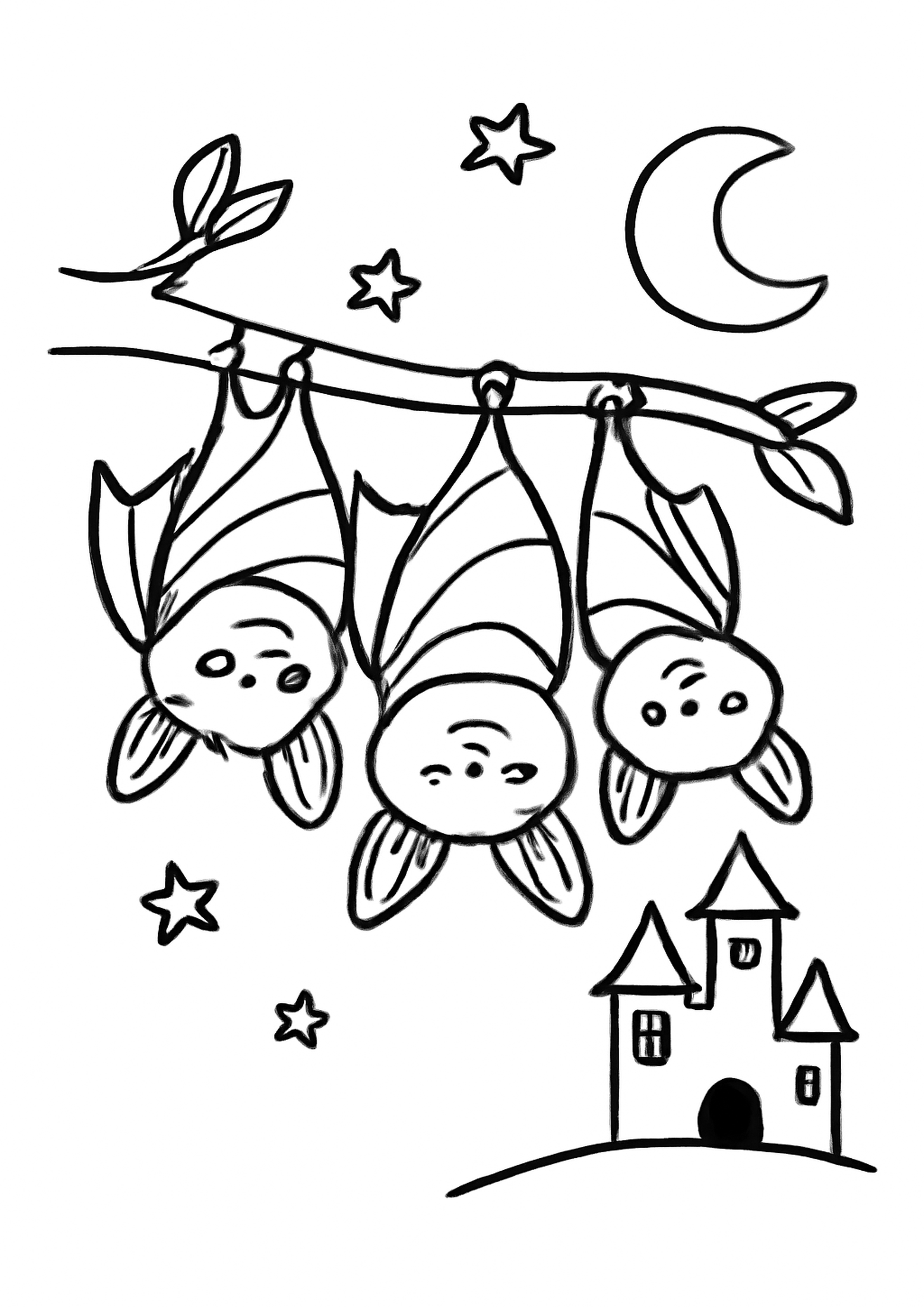 Coloriage chauve-souris de la nuit a imprimer, dessin au trait simple pour enfants