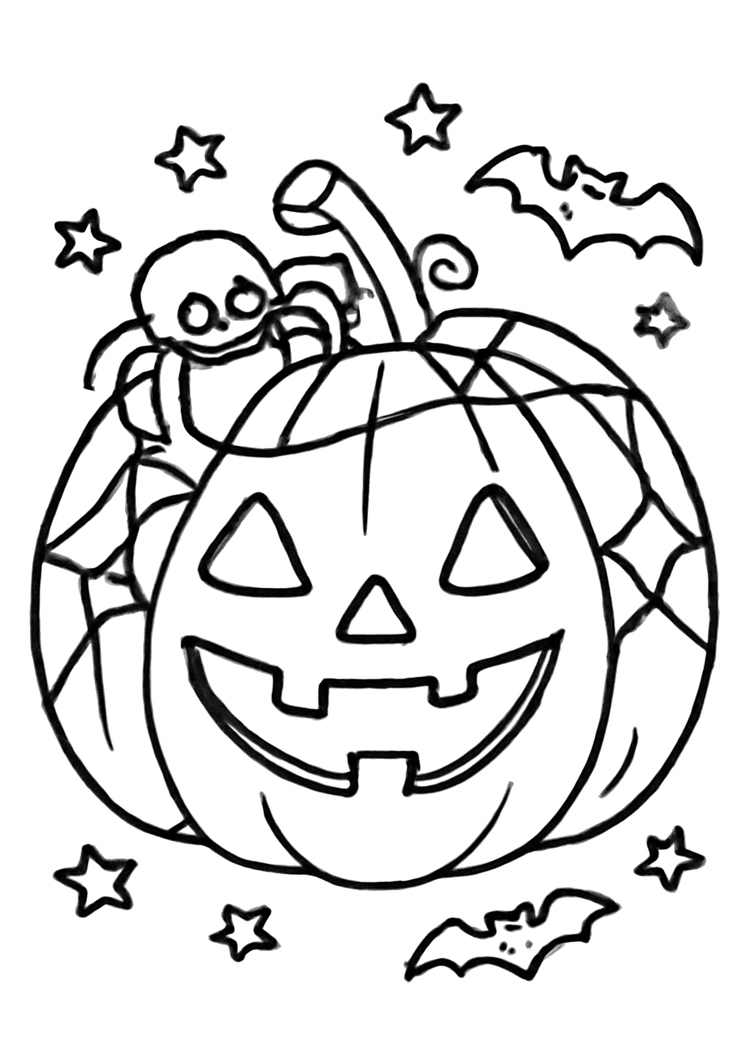 Coloriage citrouille avec araignee a imprimer, dessin au trait simple pour enfants