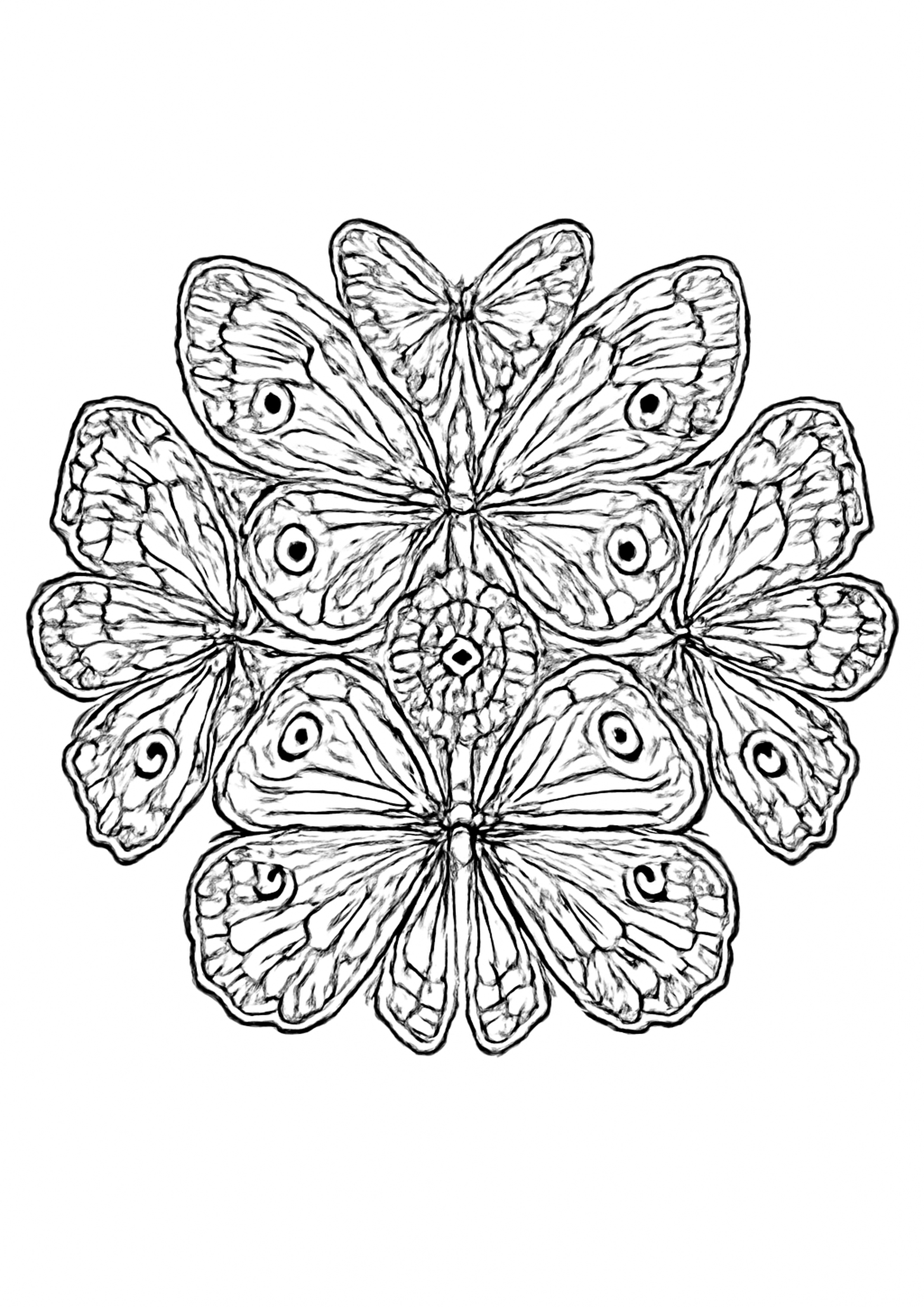 Coloriage mandala papillon a imprimer, dessin au trait simple pour enfants