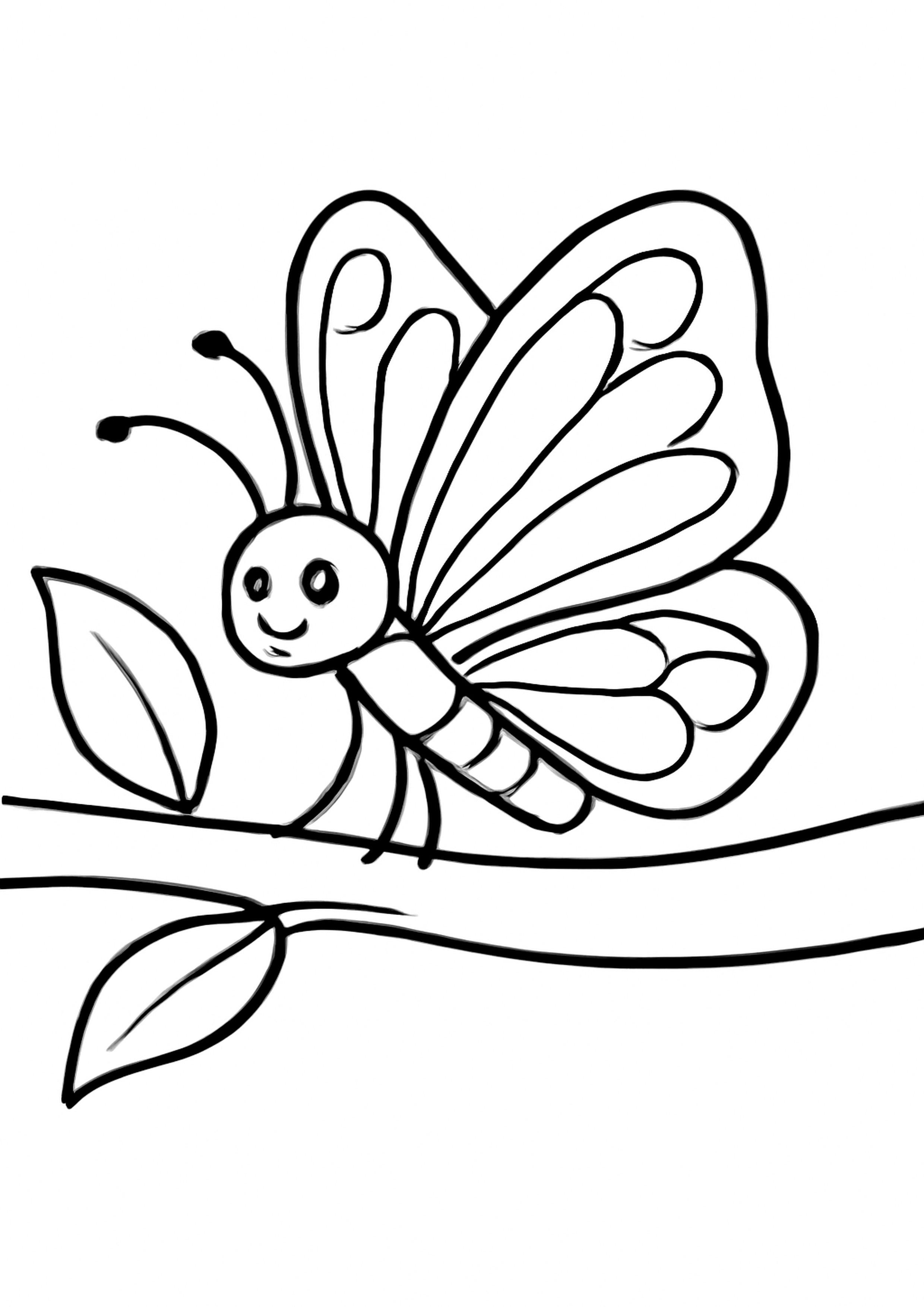 Coloriage papillon sur une branche a imprimer, dessin au trait simple pour enfants