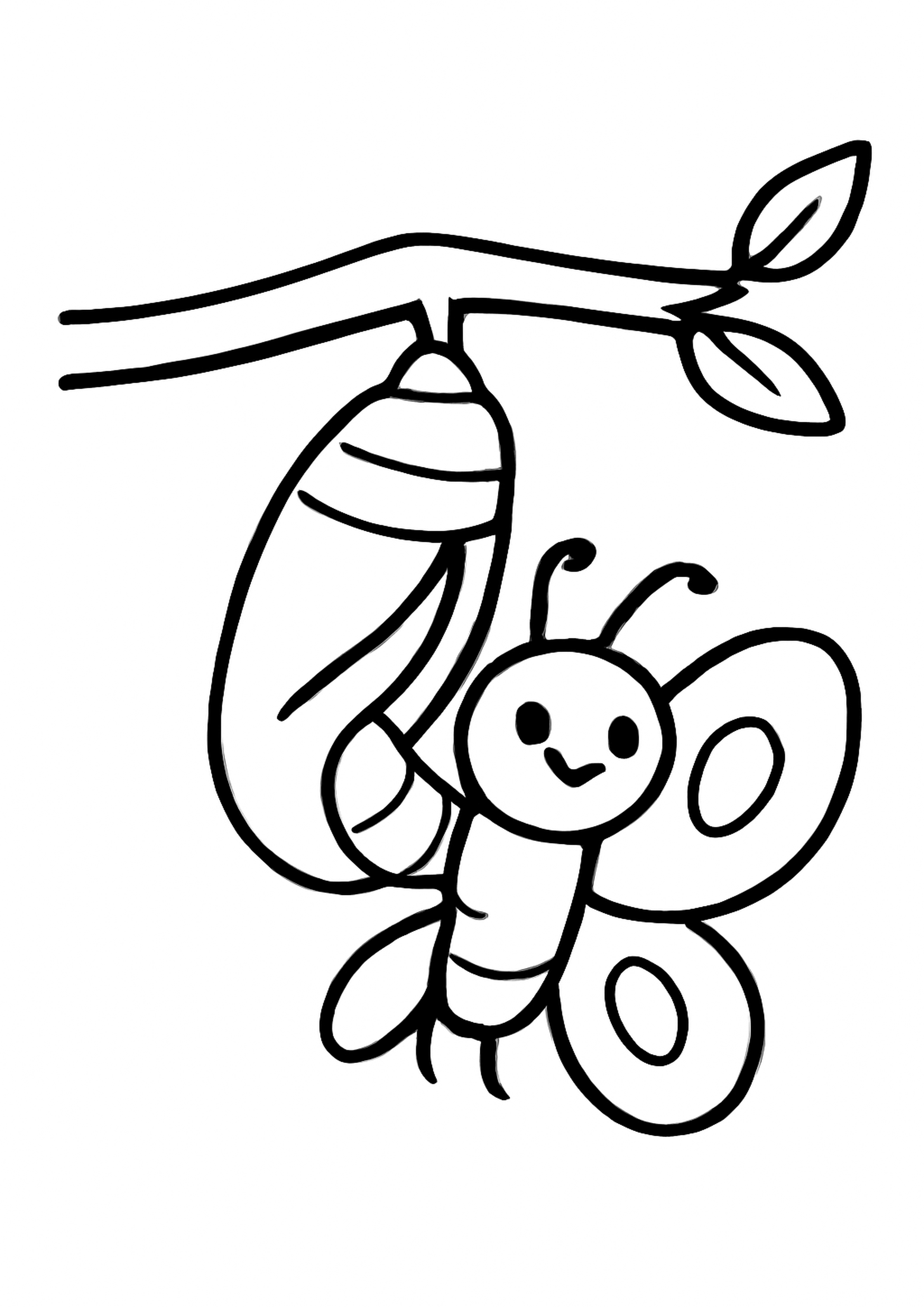 Coloriage le cocon magique a imprimer, dessin au trait simple pour enfants