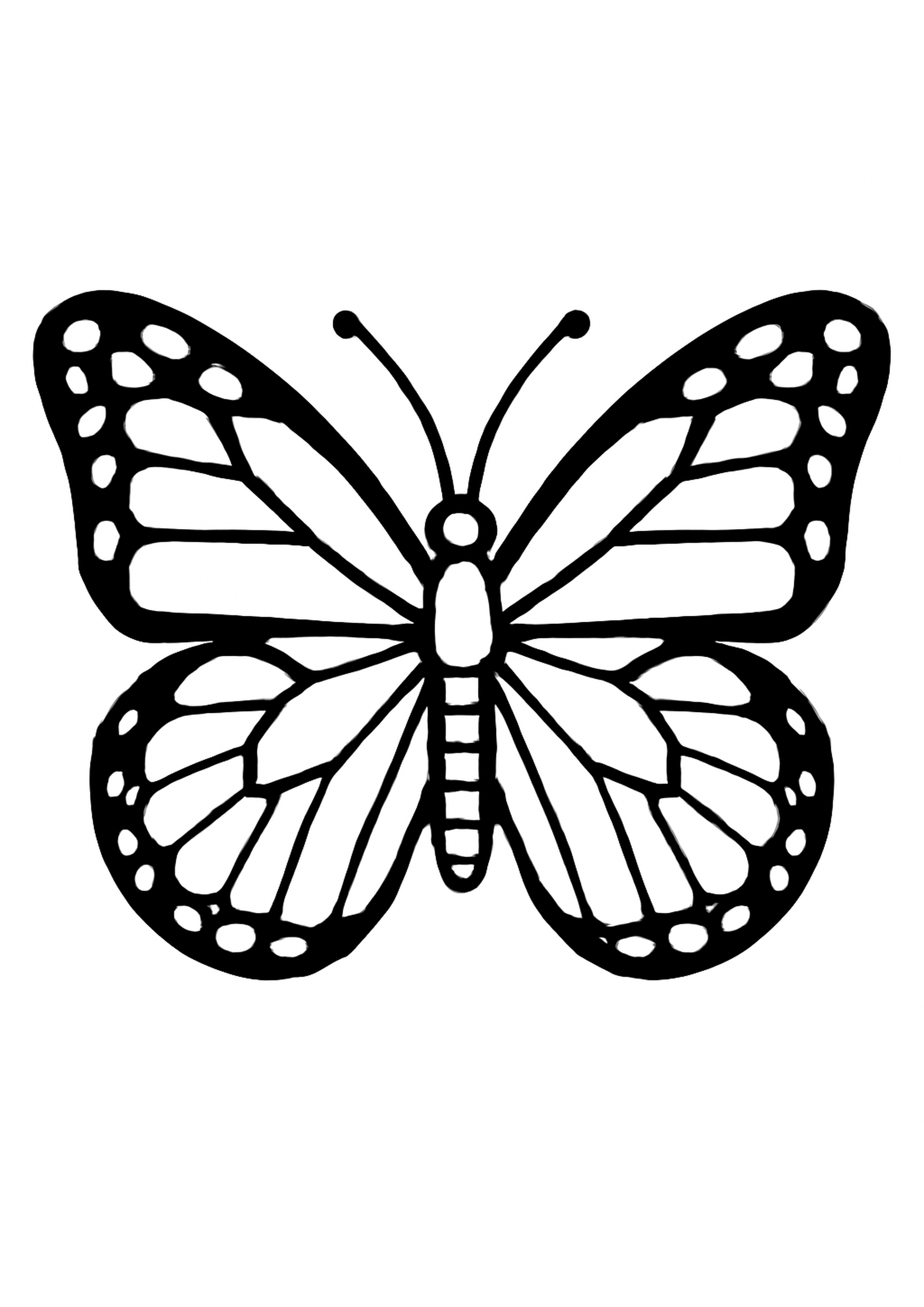 Coloriage papillon monarque a imprimer, dessin au trait simple pour enfants