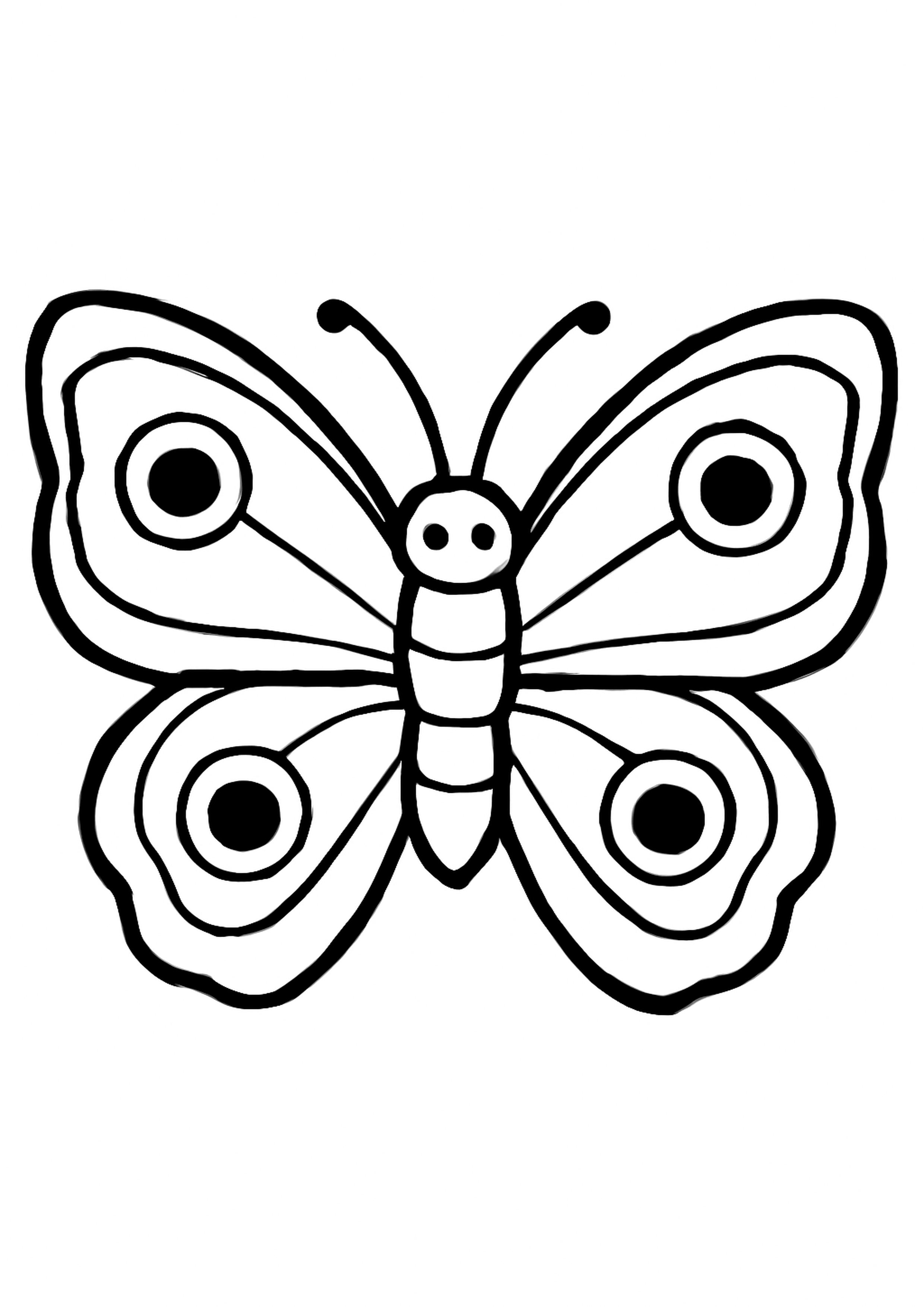 Coloriage papillon morpho bleu a imprimer, dessin au trait simple pour enfants