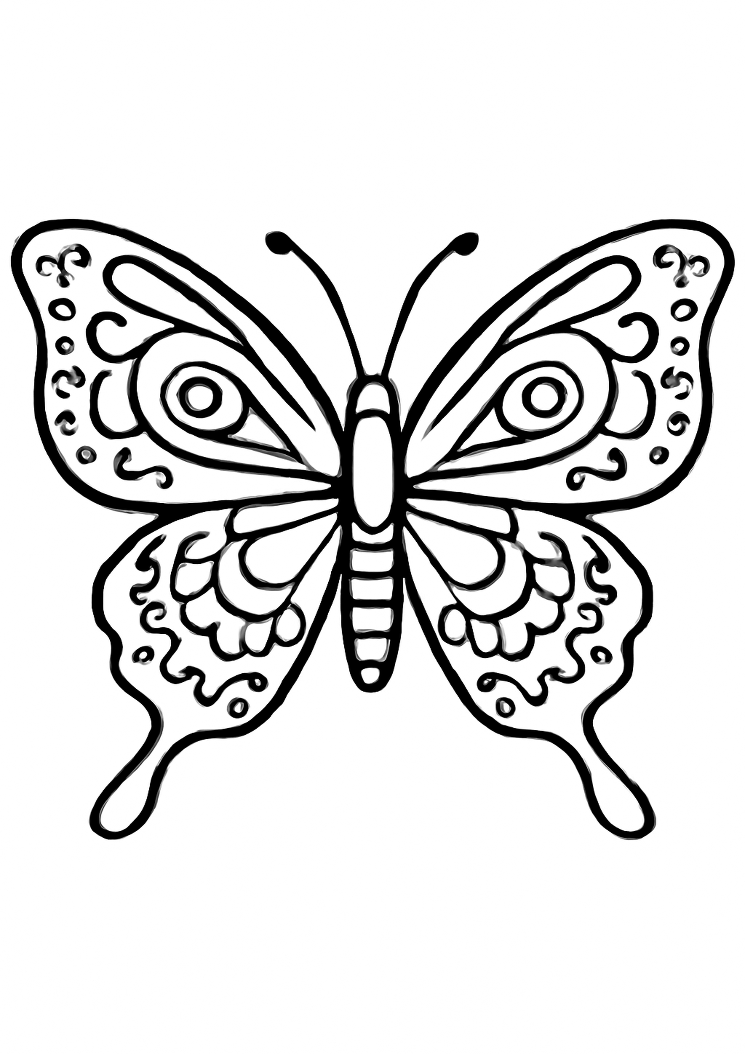 Coloriage papillon tropical a imprimer, dessin au trait simple pour enfants