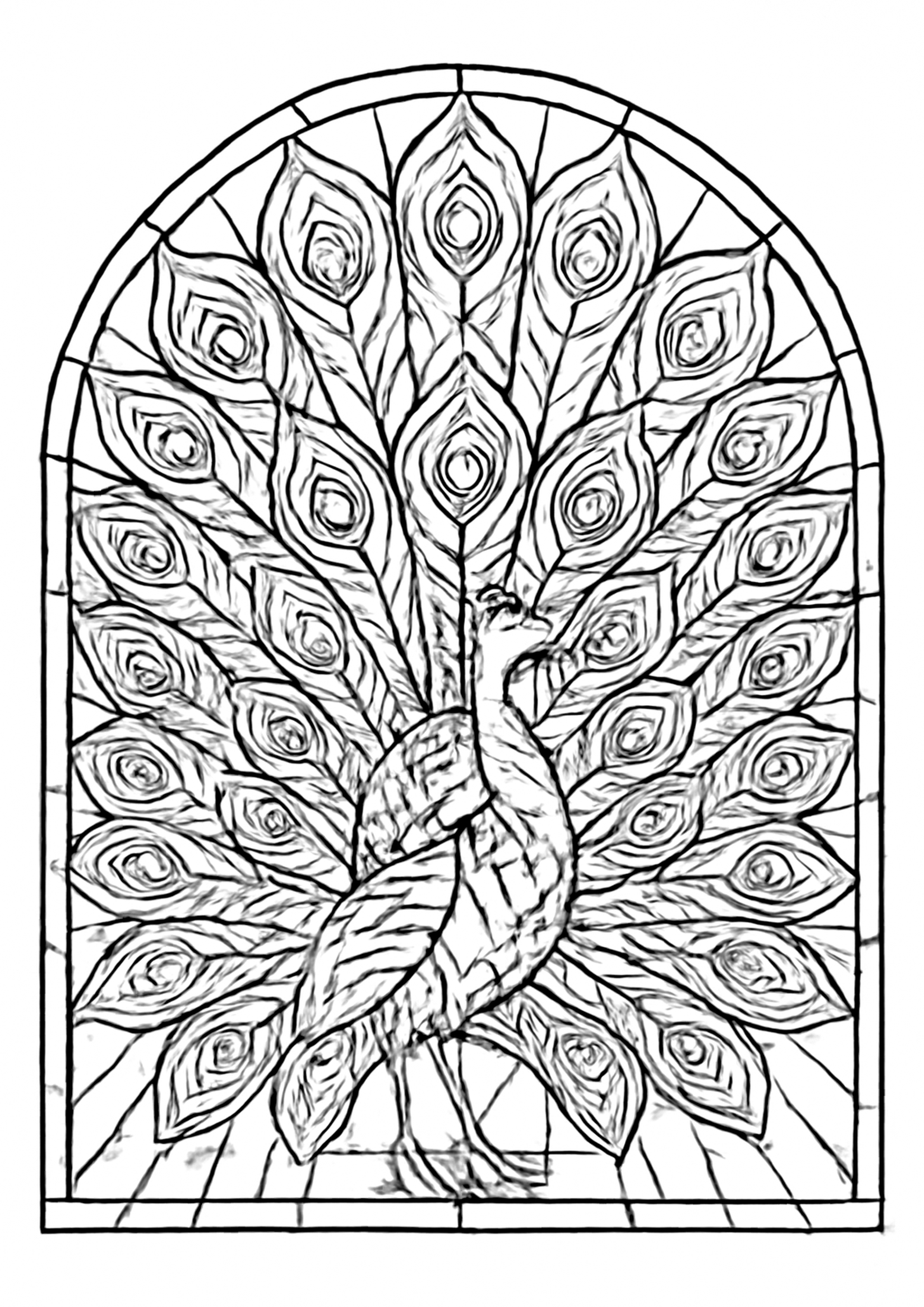 Coloriage paon en vitrail a imprimer, dessin au trait simple pour enfants