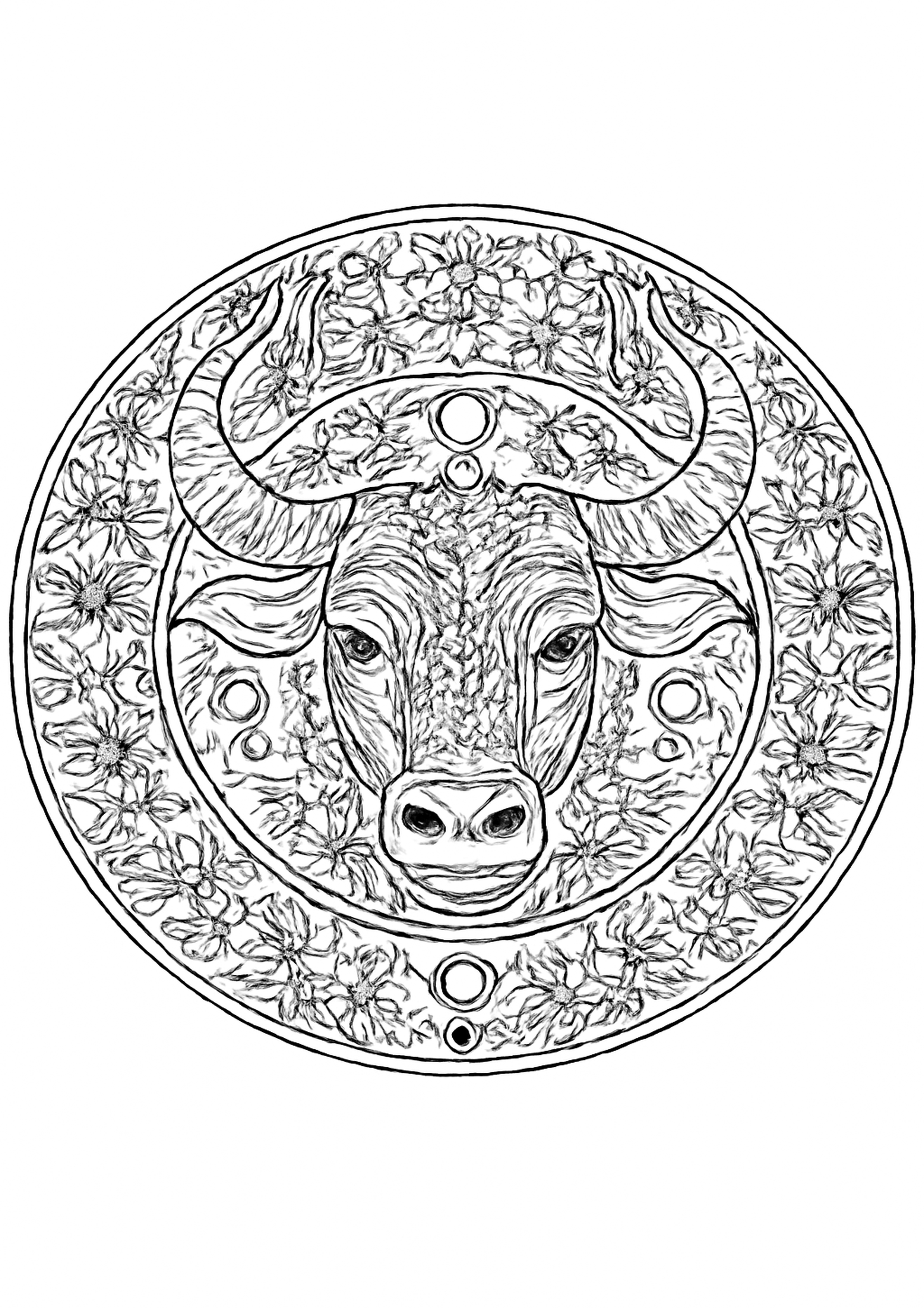 Coloriage taureau - mandala zodiaque a imprimer, dessin au trait simple pour enfants